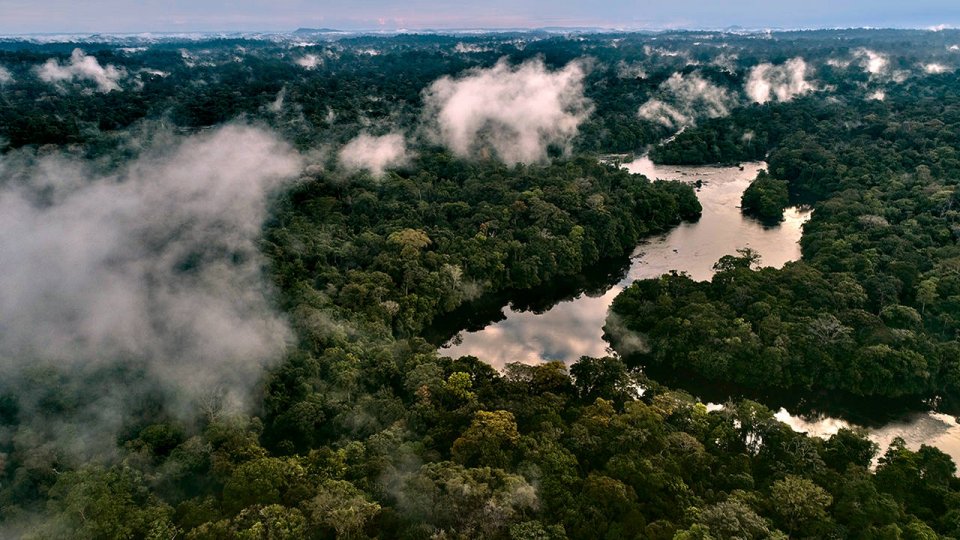 L'Amazone - Un trésor de biodiversité